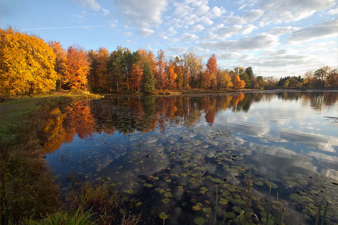 Featured image for “Fall in St. Germain”